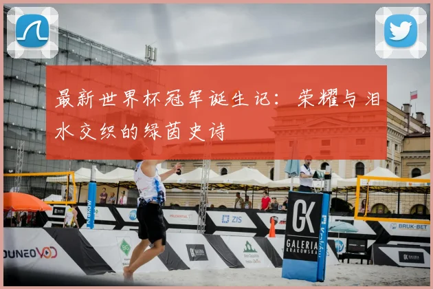 最新世界杯冠军诞生记：荣耀与泪水交织的绿茵史诗